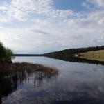 The reason for drinking water odor
