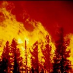 Petition started to maintain campfire ban