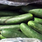 Cucumbers recall issued due to Salmonella concerns