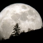 Horoscope for the week beginning Sept. 11