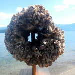 B.C. flexes its mussels