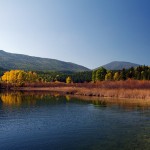 Keeping the attitude of gratitude in Cranbrook