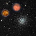 Horoscope for the Week beginning Nov. 6