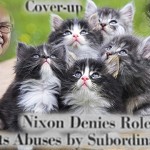Cute kitty pictures or incisive journalism?