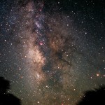 Horoscope for the Week beginning Dec. 11