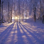 Horoscope for the Week beginning Dec. 18
