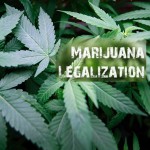Discussion for changes to marijuana legislation