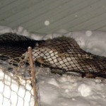 Deer Protection Society files complaint