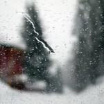 Freezing rain advisory issued