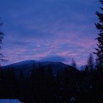 Horoscope for the week beginning Jan. 22