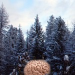 How to make and keep resolutions