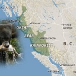 Independent science led to Great Bear protection