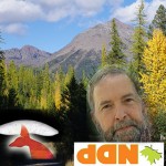 Behold the NDP lost, leaderless in the wilderness