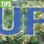 Six tips for improving your home’s salability