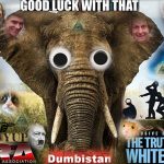 The dark shadow of the sociopathic elephant