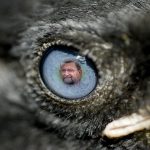 Something to crow about in difficult times
