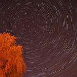 Horoscope for the week beginning Sept. 23