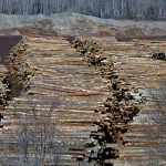 Local MP vows to fight for Canadian lumber industry