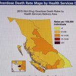 Overdose deaths up all over: BCCS