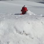 Public asked to dig out nearby fire hydrants