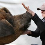 Cutter Ranch making its mark across B.C.