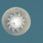 Horoscope for the week beginning April 28