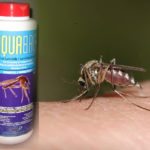 City expects mosquito population boom