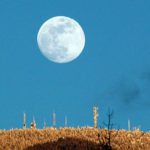 Horoscope for the week beginning April 14