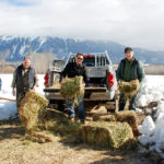 Liberal candidates donate $10,000 for elk