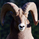 Horoscope for the week beginning March 24