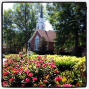 Bumc_beyond_flowers-medium