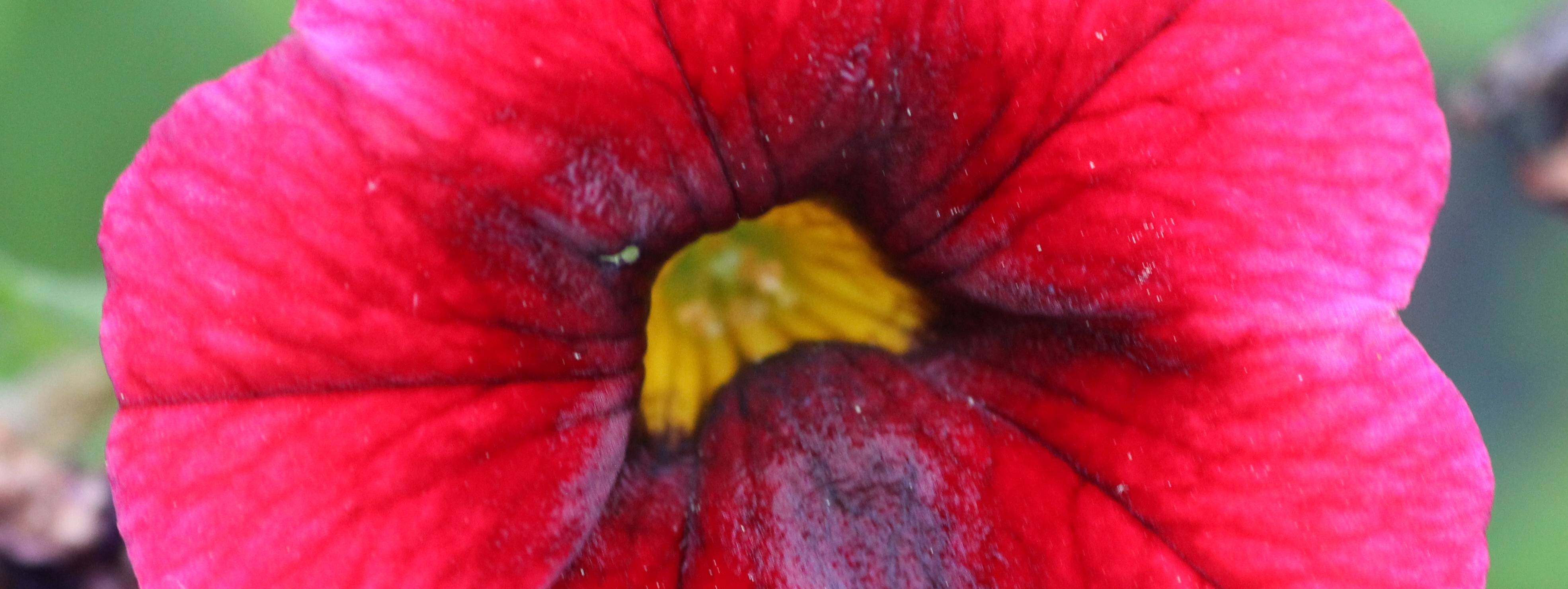 Seymour United Methodist Church