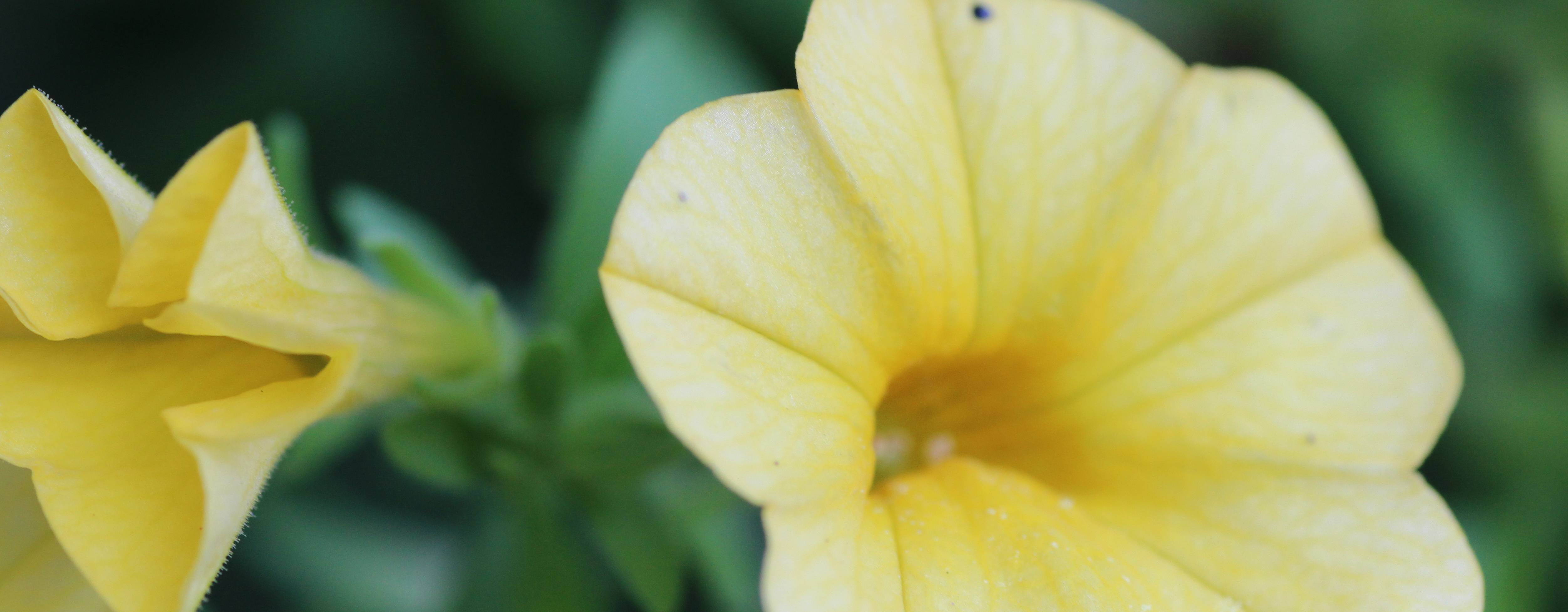 Seymour United Methodist Church