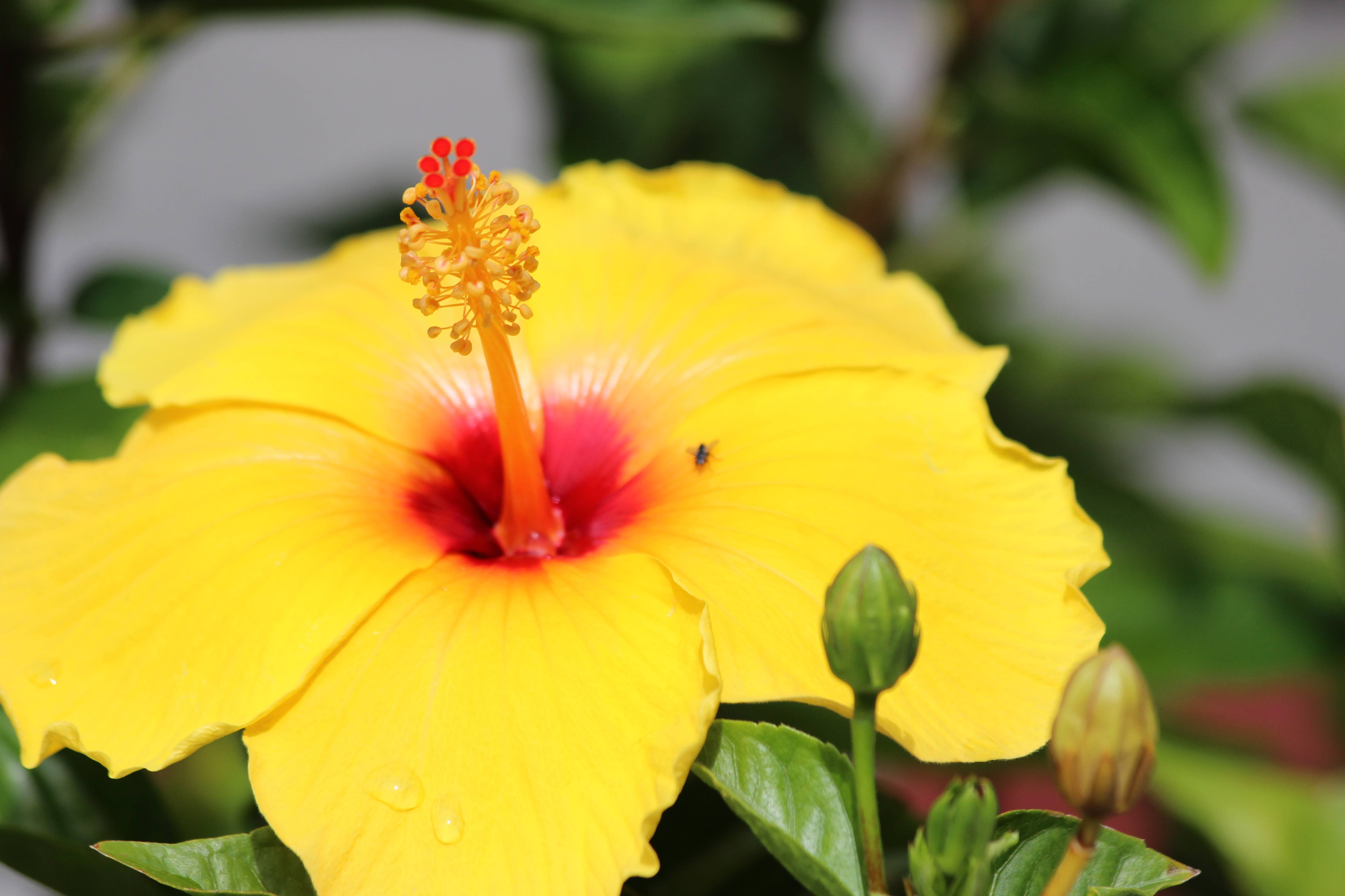 Seymour United Methodist Church