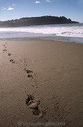 Iphoto_library-medium