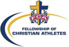 Fca%203%20100 original