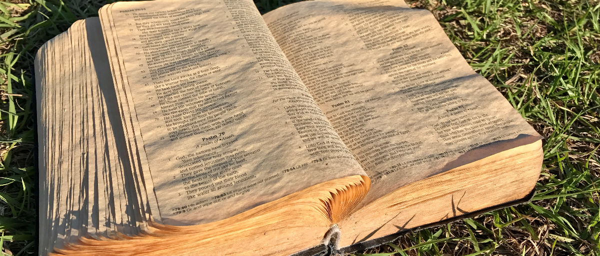 Sopchoppy Southern Baptist