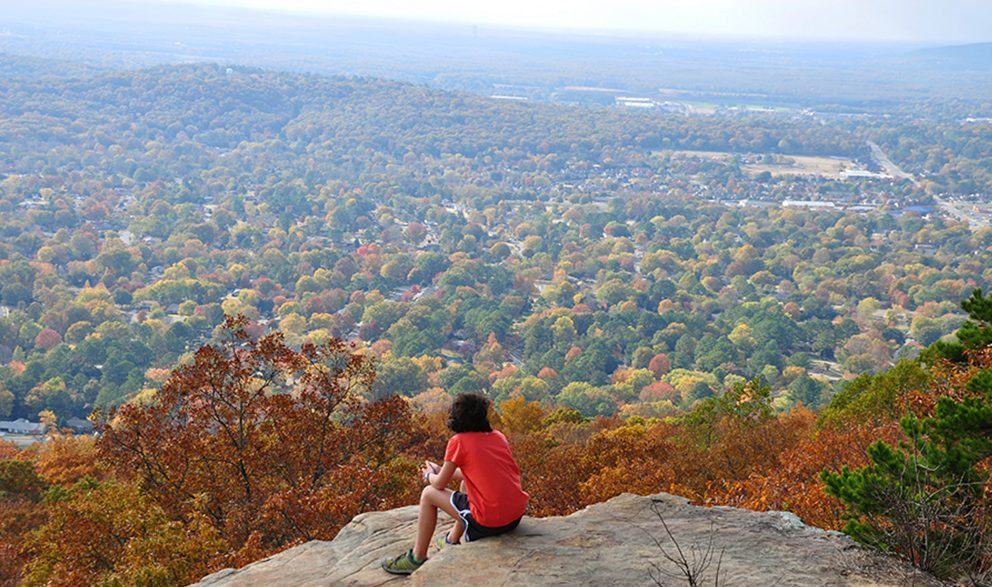 Huntsville Views Thanks