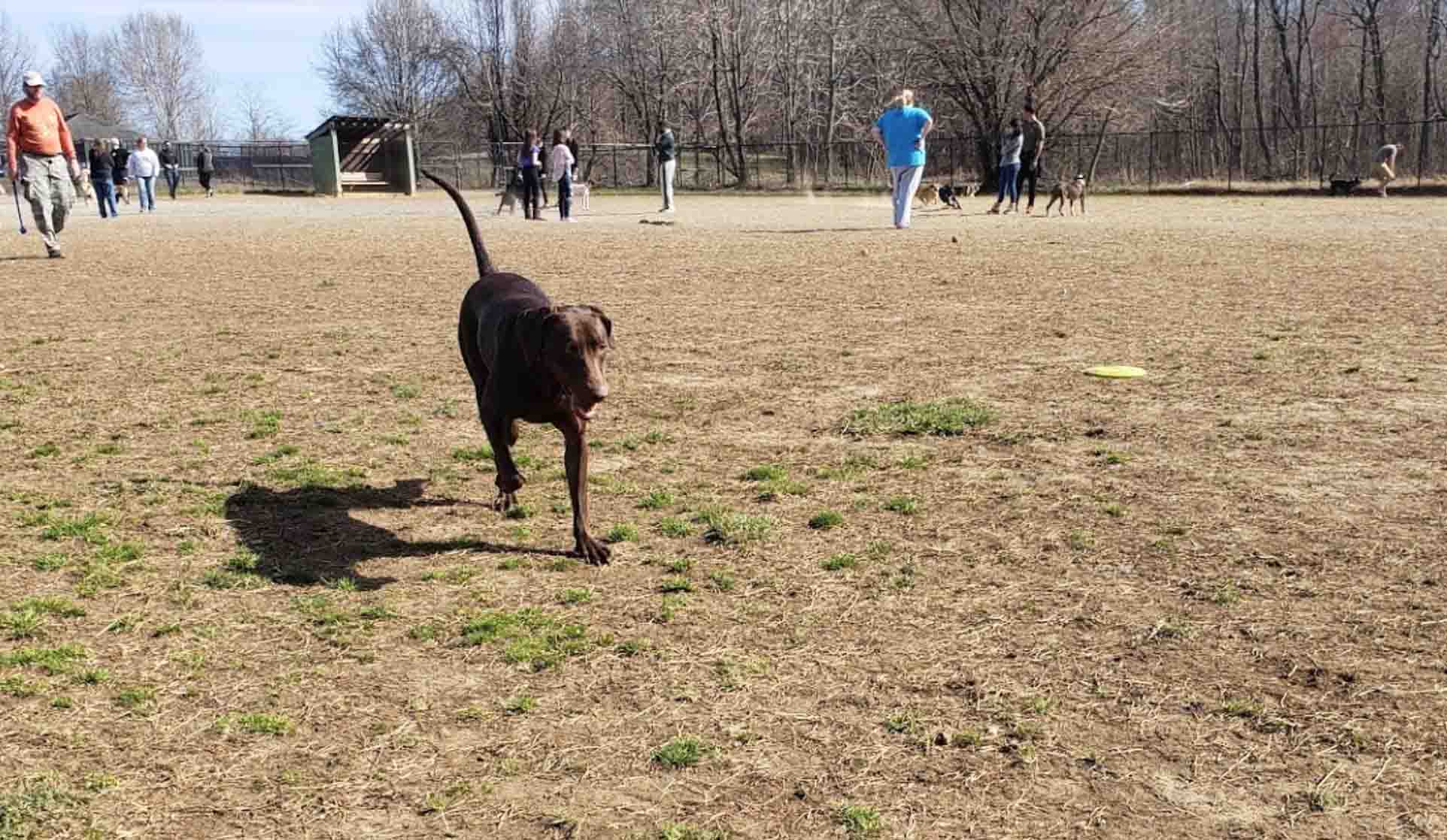5 Best Dog parks in Annapolis, Maryland
