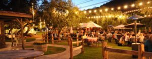 Outdoor seating area with umbrella covered tables and lights hanging from the trees