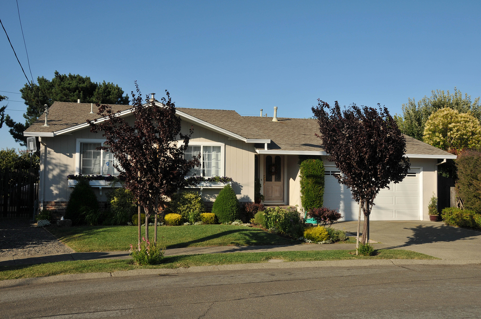 One Story Homes Jane Real Estate Jane Real Estate