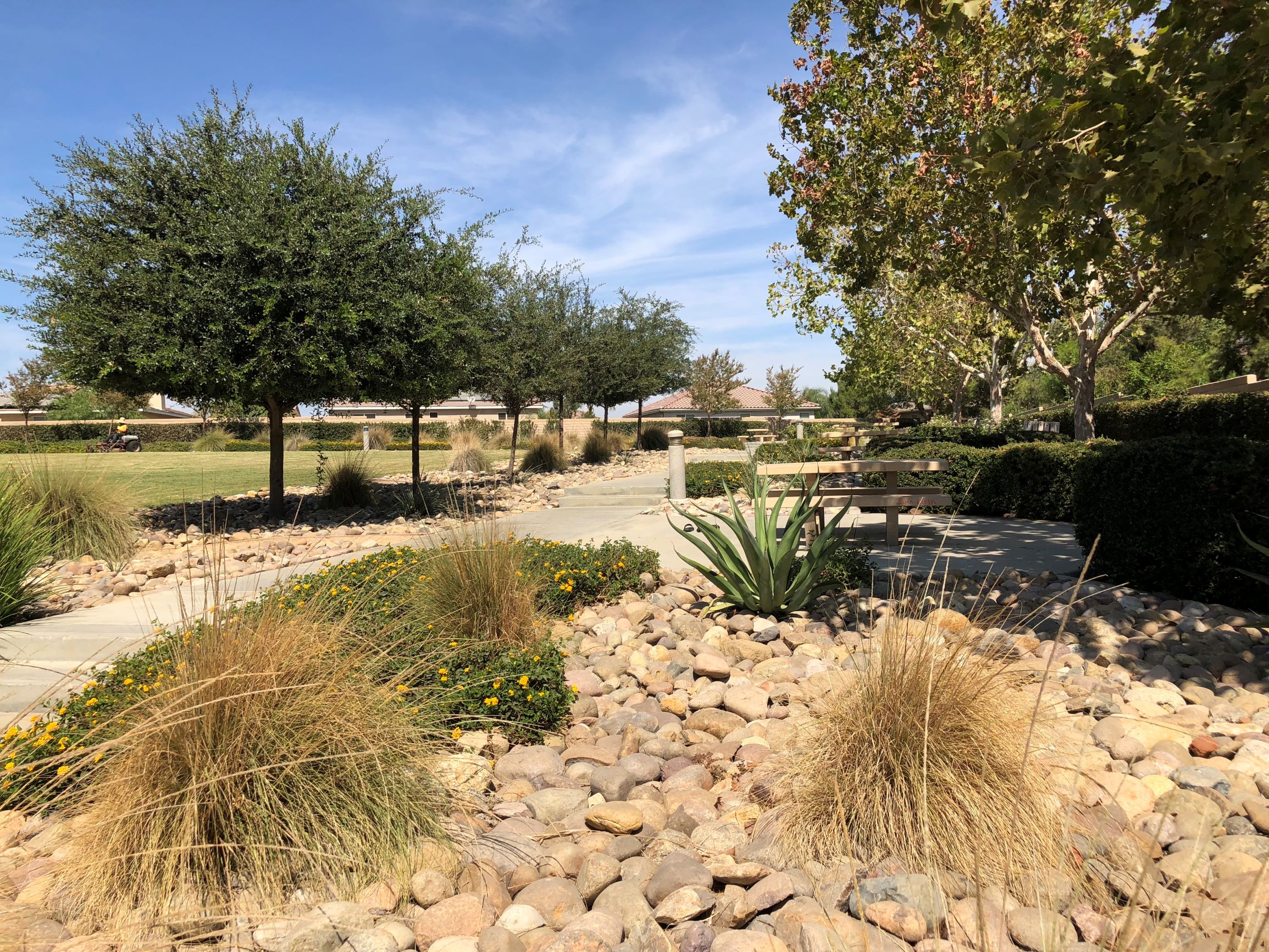 Painted Hills Homes For Sale Coleman Realty Group Coleman Realty Group