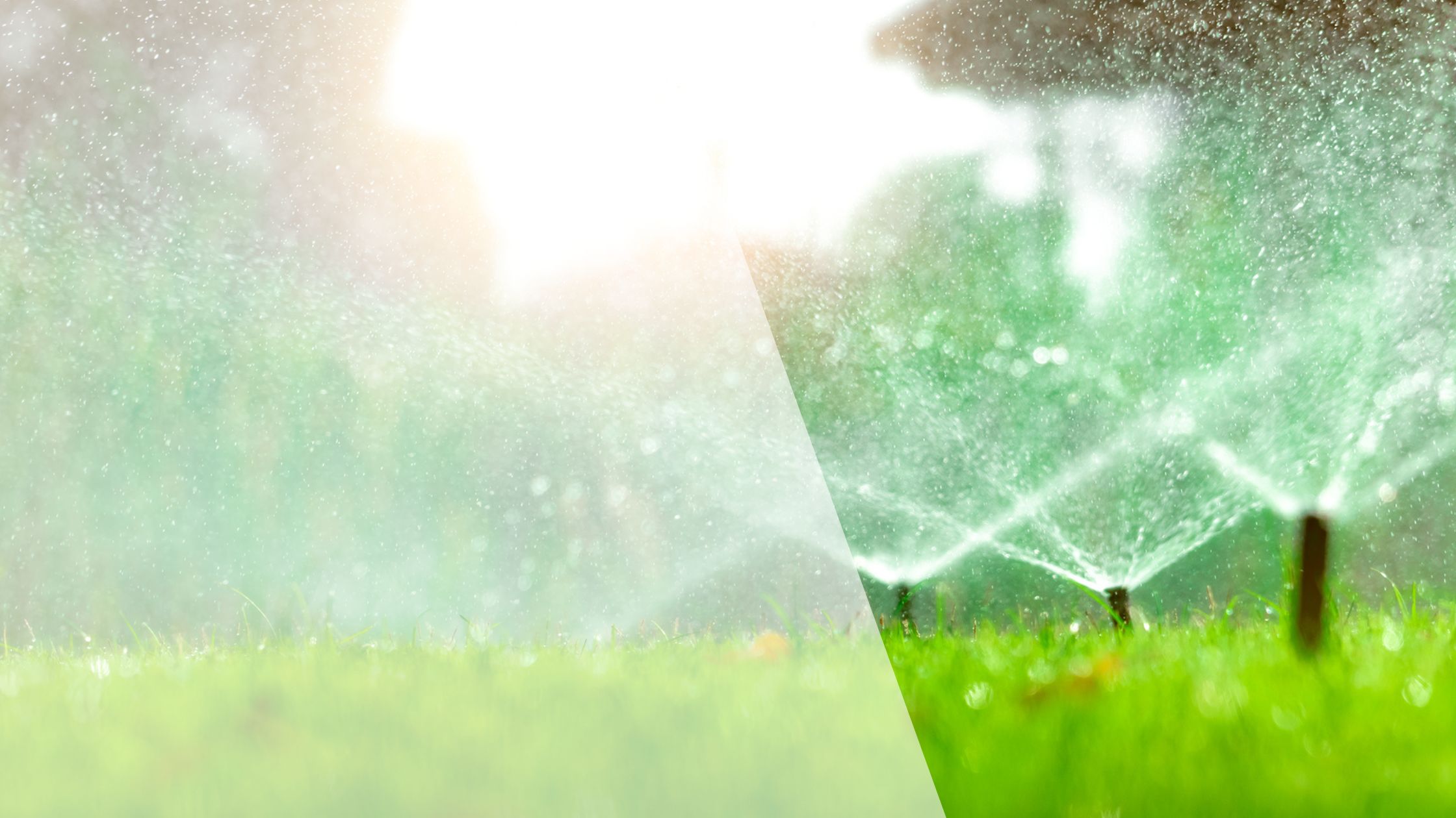 spring-lawn-care-schedule