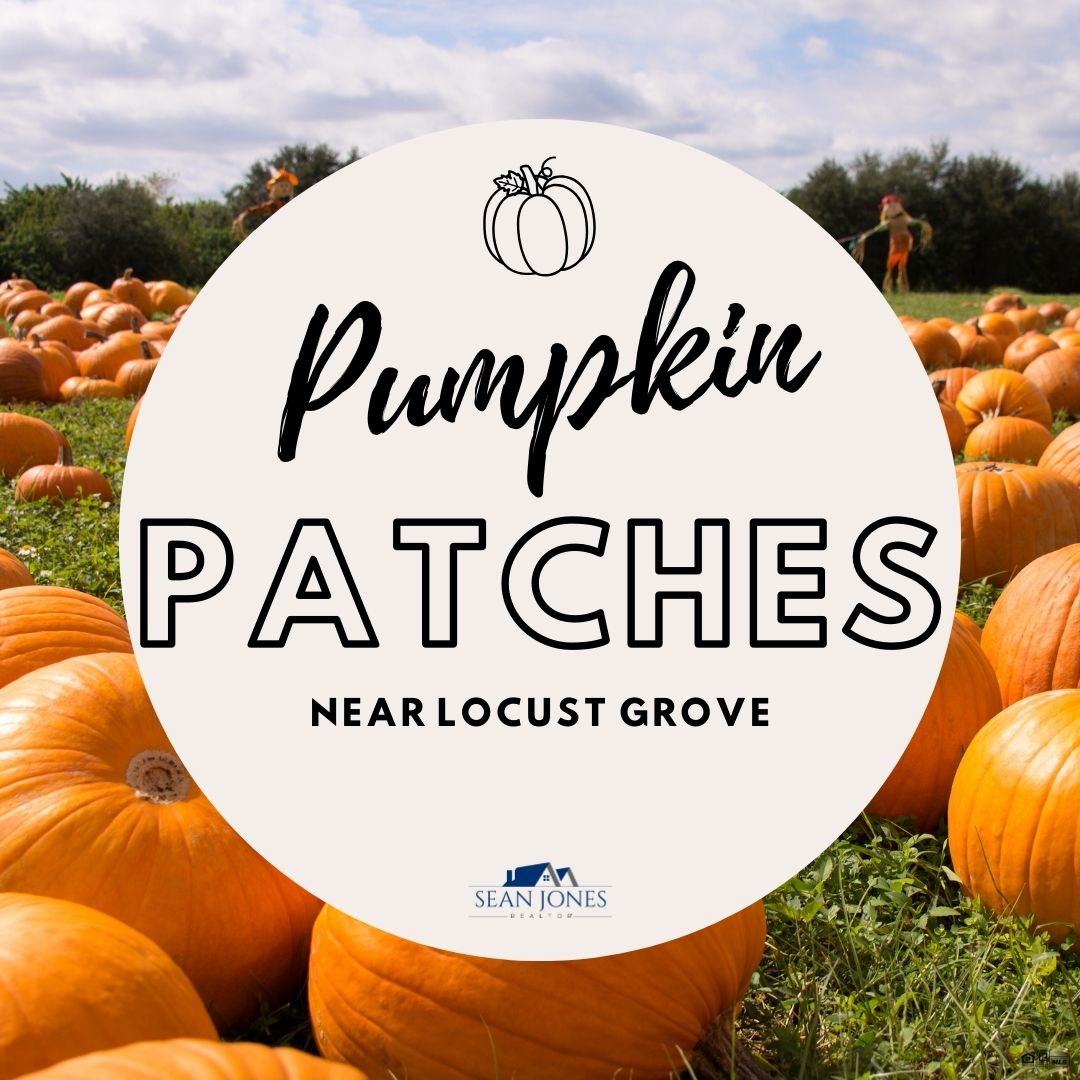 Spend the Day at a pumpkin patch near Locust Grove