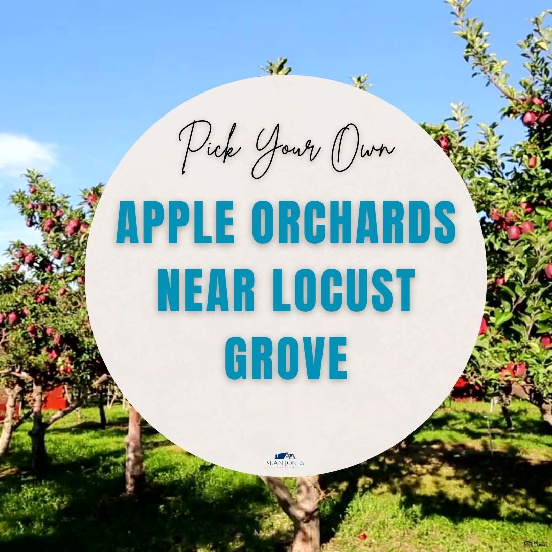Places For Apple Picking Near Locust Grove