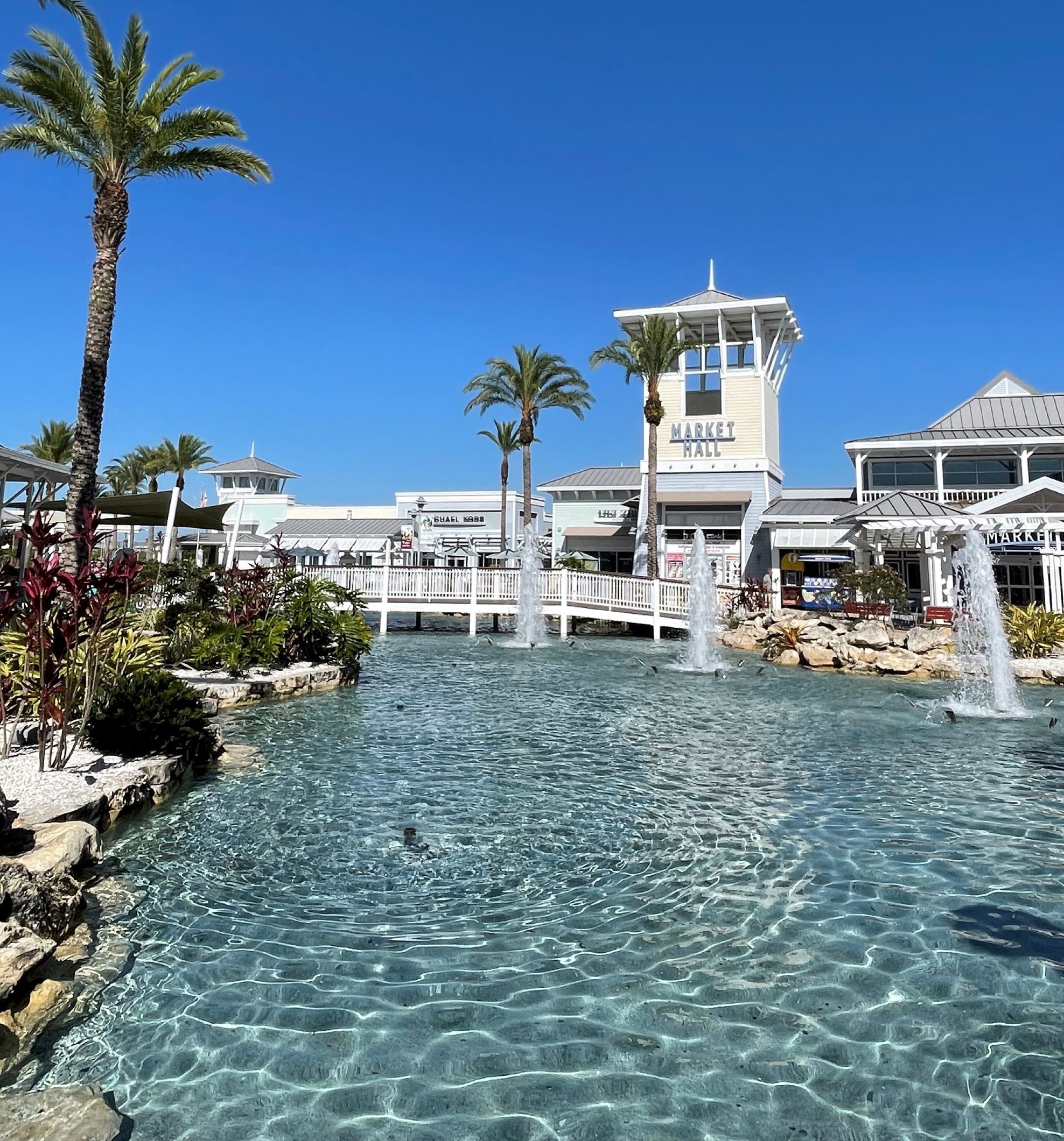 WESLEY CHAPEL Platinum Properties of Florida, LLC Platinum