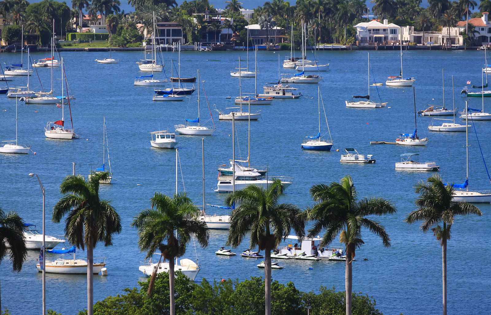 Palm Harbor Real Estate Guide Real Estate Solutions Real Estate Solutions