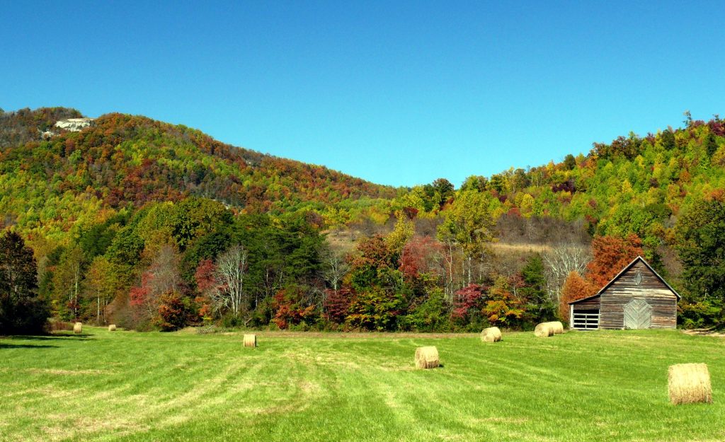 Homes, Condos & Townhomes for Sale in Alexander County, NC ProStead