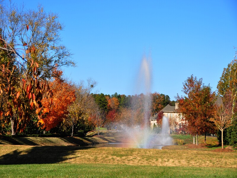 Chatelaine of Waxhaw NC ProStead Realty