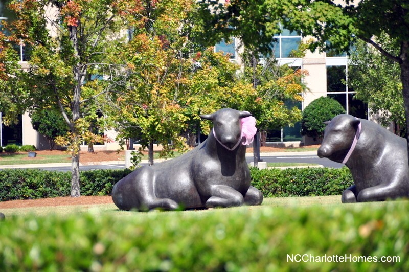 Homes, Condos & Townhomes for Sale in the Ballantyne Area of Charlotte